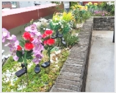  2025Ÿ��7905 ���� �������� ���͵� 317-2       ���ڽü�,����,ȣ��,�������