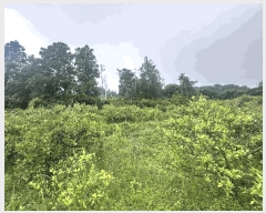  2025Ÿ��7913 ���� �������� �Ͽ��� 1188       ����(������)���