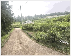  2025Ÿ��7913 ���� �������� �Ͽ��� 1188       ����(������)���