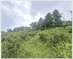  2025Ÿ��7913 ���� �������� �Ͽ��� 1188       ����(������)���