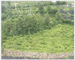  2025Ÿ��7913 ���� �������� �Ͽ��� 1188       ����(������)���