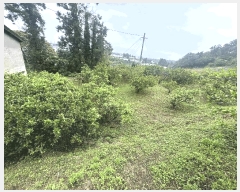  2025Ÿ��7913 ���� �������� �Ͽ��� 1188       ����(������)���