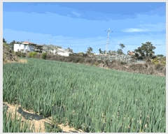  2025Ÿ��7945  �����