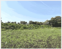  2025Ÿ��7945  �����