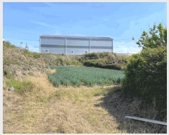  2025Ÿ��7945  �����