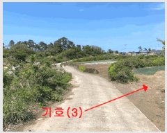  2025Ÿ��7945  �����