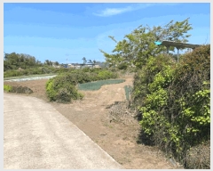  2025Ÿ��7945  �����