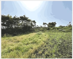  2025Ÿ��7945  �����