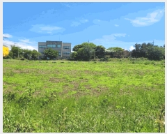  2025Ÿ��7953 ���� ���ֽ� ��õ�� ���긮 26-9      ����(������)���