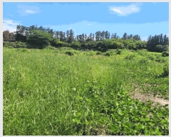  2025Ÿ��7953 ���� ���ֽ� ��õ�� ���긮 26-9      ����(������)���