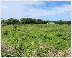  2025Ÿ��7953 ���� ���ֽ� ��õ�� ���긮 26-9      ����(������)���