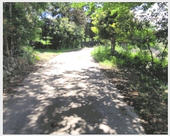  2025Ÿ��7953 ���� ���ֽ� ��õ�� ���긮 26-9      ����(������)���