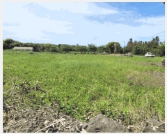  2025Ÿ��7953 ���� ���ֽ� ��õ�� ���긮 26-9      ����(������)���