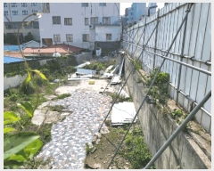  2025Ÿ��8018 ���� �������� ���͵� 408-6       ����(����)���