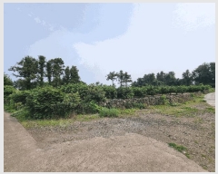  2025Ÿ��8109  �����