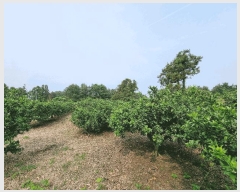  2025Ÿ��8109  �����