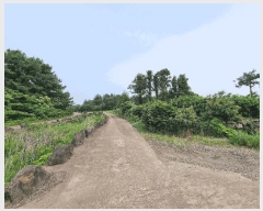  2025Ÿ��8109  �����