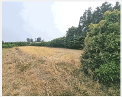  2025Ÿ��8109  �����