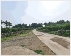  2025Ÿ��8109  �����