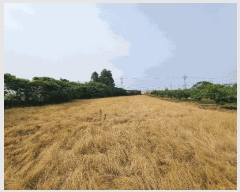  2025Ÿ��8109  �����