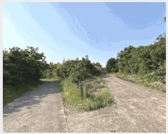  2025Ÿ��8119  �Ӿ߰��