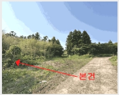  2025Ÿ��8119  �Ӿ߰��