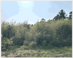  2025Ÿ��8119  �Ӿ߰��