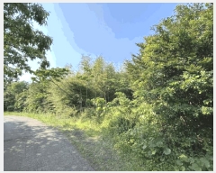  2025Ÿ��8119  �Ӿ߰��