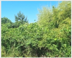  2025Ÿ��8119  �Ӿ߰��