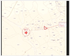  2025Ÿ��8119  �Ӿ߰��