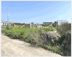  2025Ÿ��8248  ���������