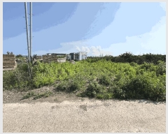  2025Ÿ��8248 ���� ���ֽ� ��õ�� ��õ�� 3368-5      ���ð��