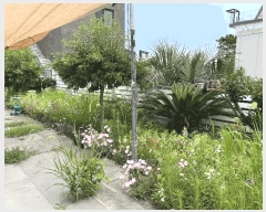  2025Ÿ��8248 ���� ���ֽ� ��õ�� ��õ�� 3368-5      ���ð��