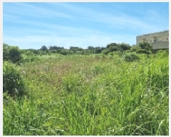  2025Ÿ��8285  �Ӿ߰��