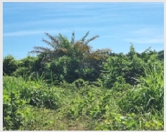  2025Ÿ��8285  �Ӿ߰��