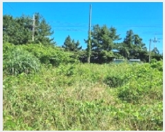  2025Ÿ��8285  �Ӿ߰��