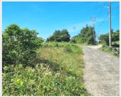  2025Ÿ��8285  �Ӿ߰��