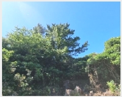  2025Ÿ��8285  �Ӿ߰��