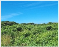  2025Ÿ��8285  �Ӿ߰��