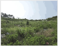  2025Ÿ��8292 ���� ���ֽ� �ֿ��� �ֿ��� 1919      ����(��1)���