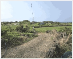  2025Ÿ��8292 ���� ���ֽ� �ֿ��� �ֿ��� 1919      ����(��1)���