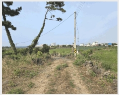  2025Ÿ��8292 ���� ���ֽ� �ֿ��� �ֿ��� 1919      ����(��1)���