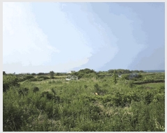  2025Ÿ��8292 ���� ���ֽ� �ֿ��� �ֿ��� 1919      ����(��1)���