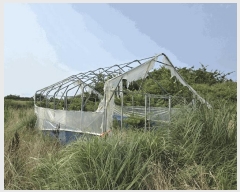  2025Ÿ��8292 ���� ���ֽ� �ֿ��� �ֿ��� 1919      ����(��1)���