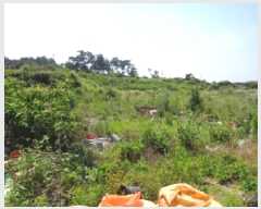  2025Ÿ��8292 ���� ���ֽ� �ֿ��� �ֿ��� 1919      ����(��1)���