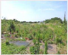  2025Ÿ��8292 ���� ���ֽ� �ֿ��� �ֿ��� 1919      ����(��1)���