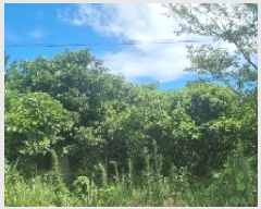  2025Ÿ��8338  �Ӿ߰��