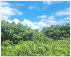  2025Ÿ��8338  �Ӿ߰��