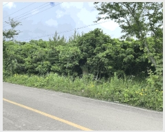  2025Ÿ��8338  �Ӿ߰��