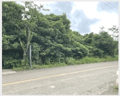  2025Ÿ��8338  �Ӿ߰��